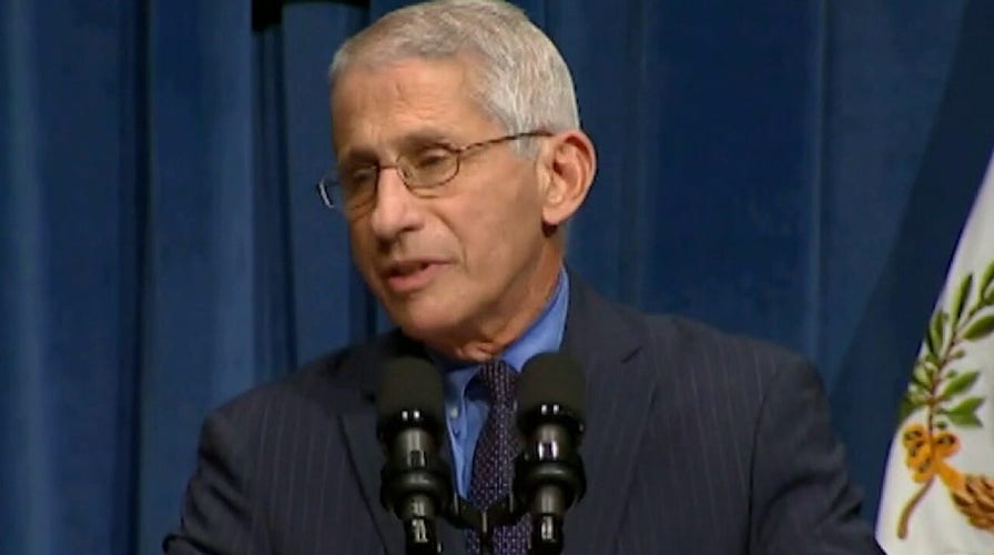 Fauci helped suppress Wuhan lab leak theory: report