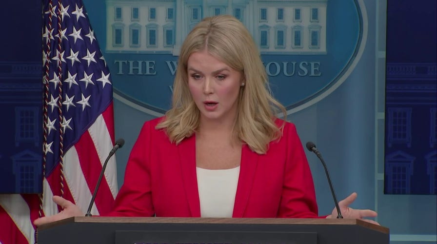 White House press secretary Karoline Leavitt dodges question on DOGE administrator