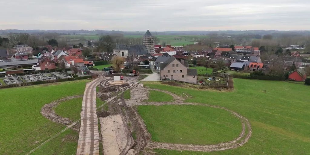 Belgian archaeologists uncover well-preserved dog dating back to Roman times
