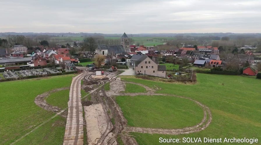 Belgian archaeologists uncover well-preserved dog dating back to Roman times