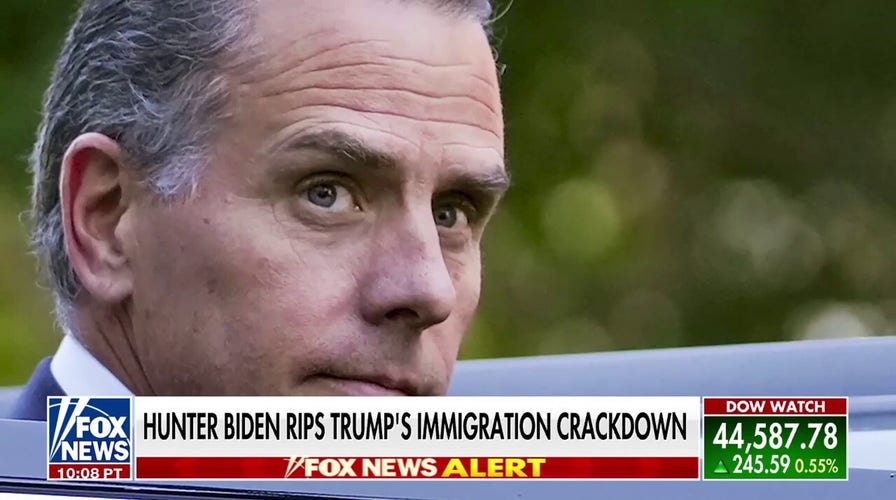 Hunter's Biden's expletive-ridden rant over Trump's immigration policies dismissed: 'He's a convicted felon, doesn't know anything'