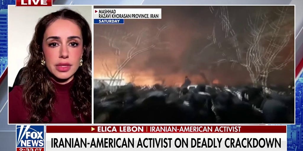 Iranian-American activist calls the treatment of Iranian protestors the 'greatest massacre' in Iran's history