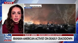 Iranian-American activist calls the treatment of Iranian protestors the 'greatest massacre' in Iran's history