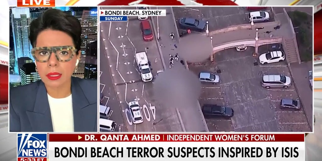 Bondi Beach terror suspects reportedly inspired by ISIS