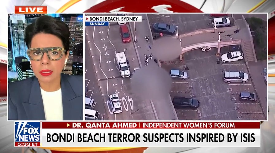 Bondi Beach terror suspects reportedly inspired by ISIS