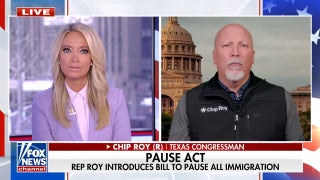 Rep. Chip Roy introduces PAUSE Act to halt immigration - Fox News