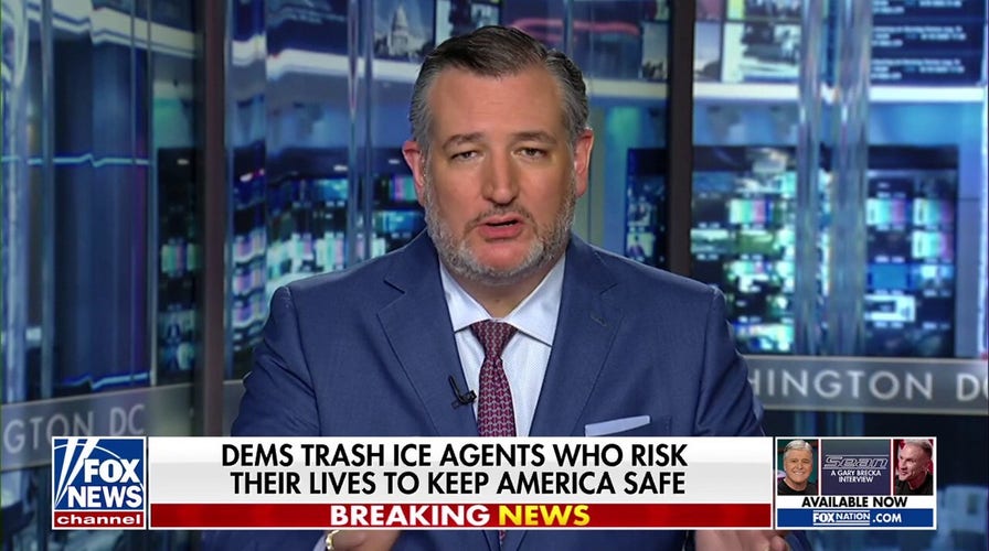 The Dem Party embraces violence, says Ted Cruz