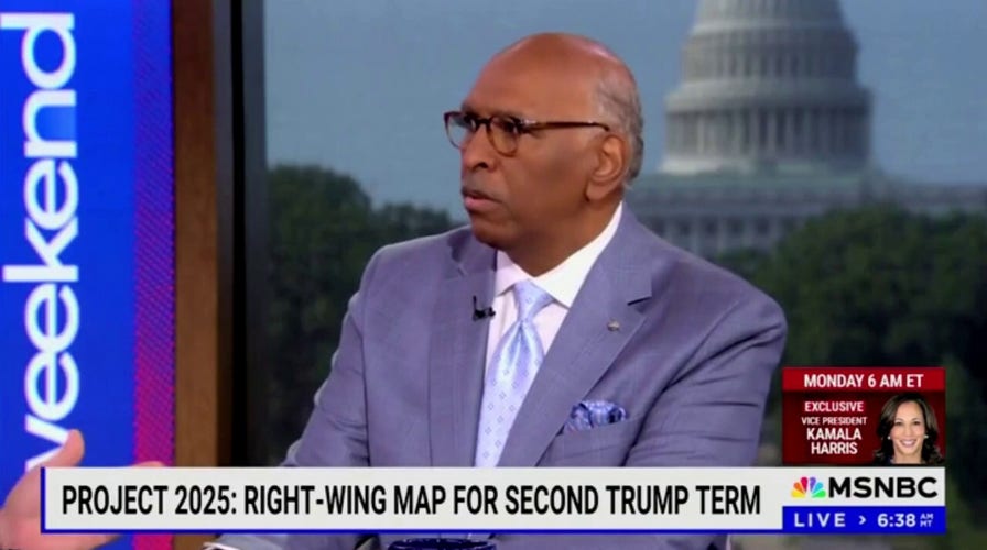 MSNBC analyst Michael Steele shrugs off murder of girl during immigration debate: 'That's one out of 11 million'