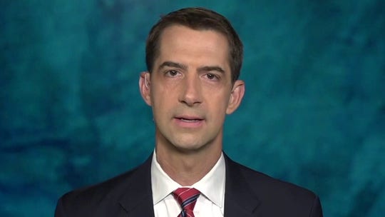 Sen. Cotton: Biden VP hopeful Susan Rice was the 'Typhoid Mary' of the Obama foreign policy