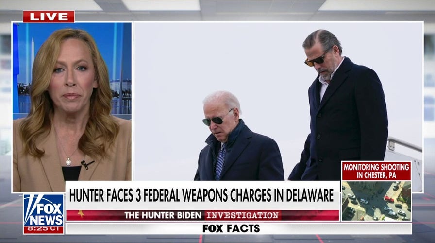 Hunter Biden's exes set to testify in gun trial: 'Going to affect the entire Biden tribe'