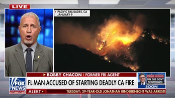 Former FBI agent reveals what arsonists 'almost always' do after Palisades fire arrest