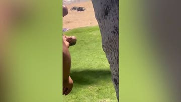 WATCH: Hawaii Democratic congressional candidate knocked out after beach dispute escalates into knife arrest