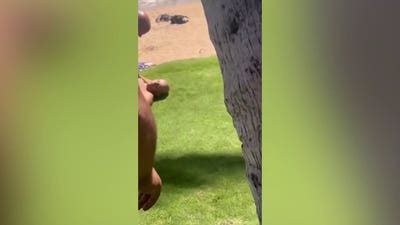 WATCH: Hawaii Democratic congressional candidate knocked out after beach dispute escalates into knife arrest