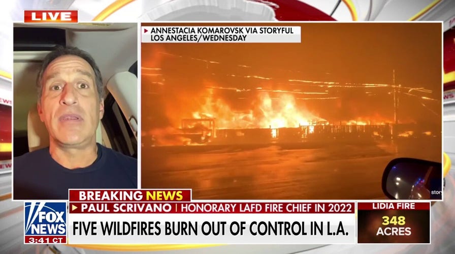 Los Angeles officials, fire chief ripped for DEI push leading up to wildfires: 'Disgrace'