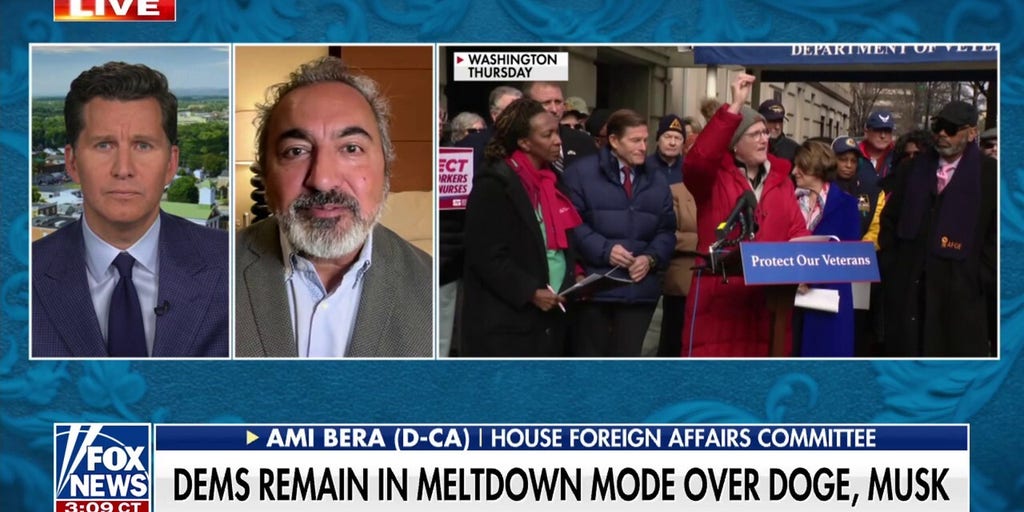 Democratic congressman address party’s frustration over DOGE, Elon Musk