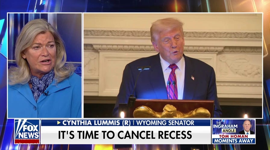 GOP senator advocates for opportunity to 'see' Trump's agenda through