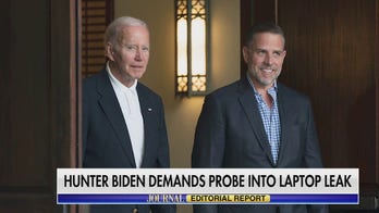 Hunter Biden goes on offense