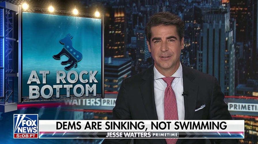 No one's in charge of the Democratic Party, says Jesse Watters