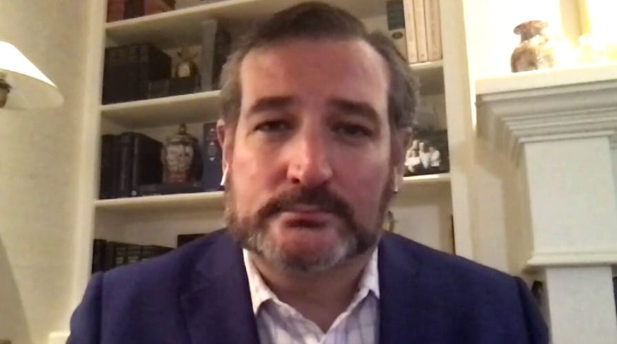 Sen. Ted Cruz reacts to President Trump's executive order to temporarily pause immigration