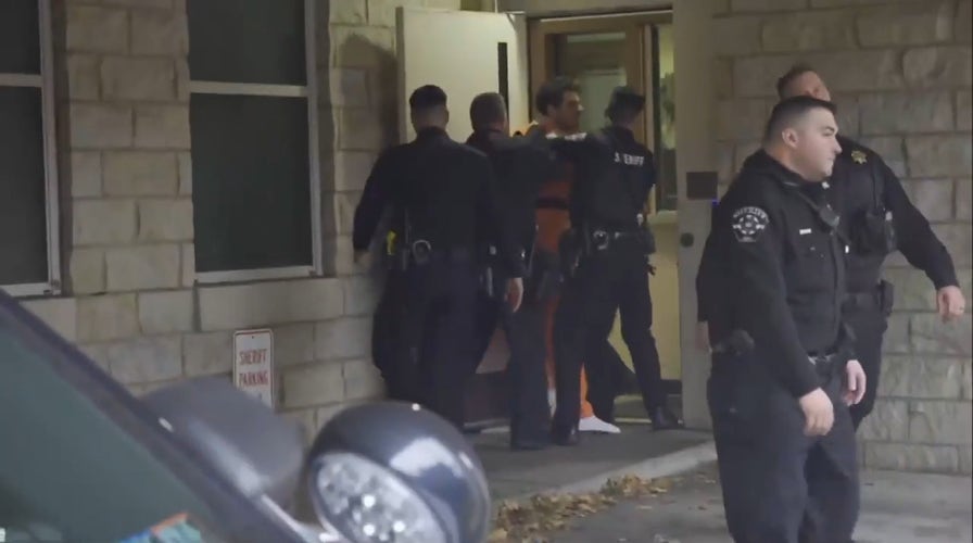 CEO murder suspect Luigi Mangione shouts as officers restrain him at courthouse