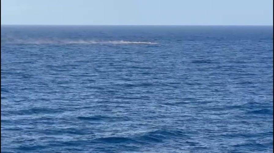 Search underway for Viking Star crew member overboard in Mediterranean Sea