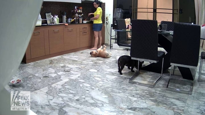 Dog chokes in kitchen before owner performs Heimlich maneuver to save its life