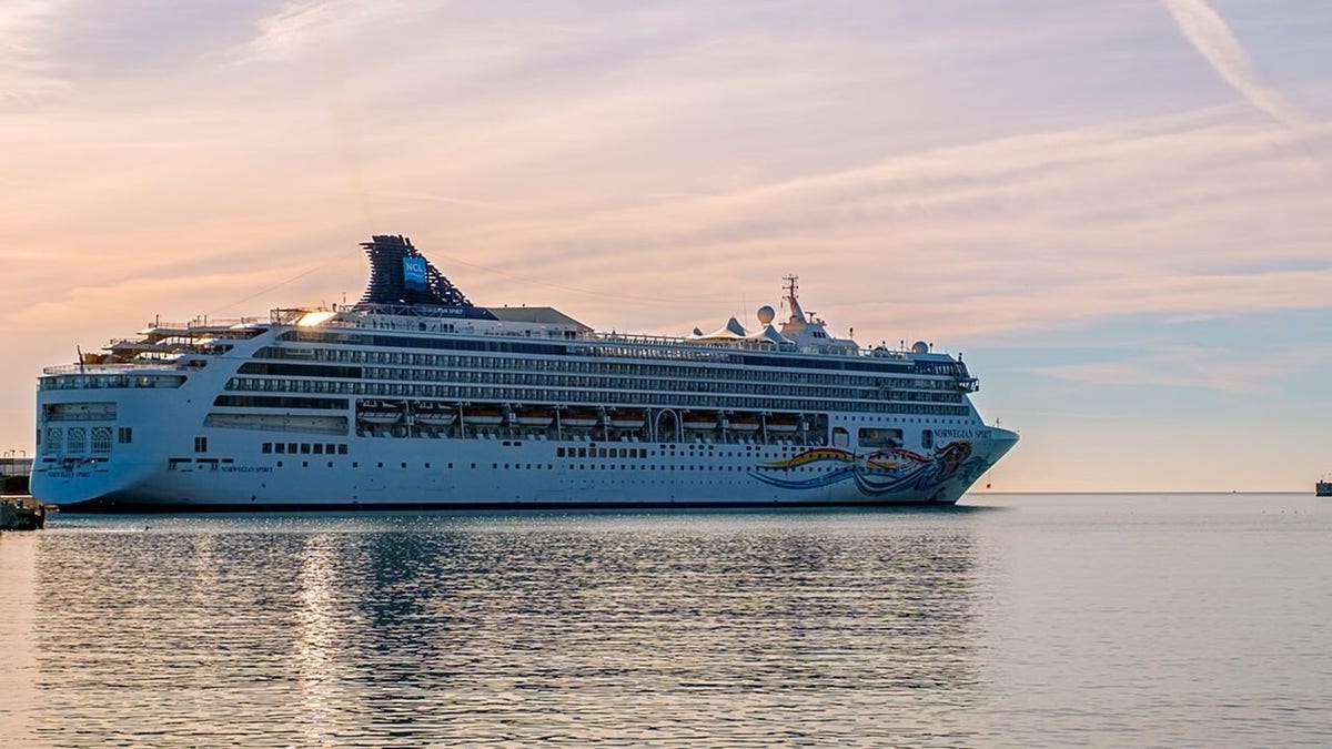 Norwegian Cruise Line Holdings Ceo Cdc Guidelines For Cruises Are Stupid Fox News