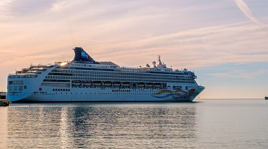 Norwegian Cruise Line Holdings CEO: CDC guidelines for cruises are ‘stupid’ 
