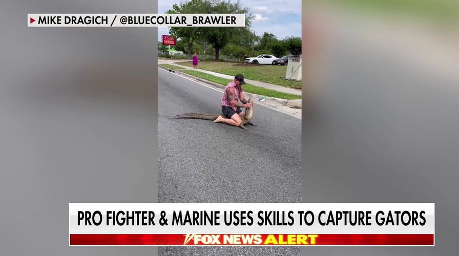 MMA fighter describes overpowering alligator with his bare hands