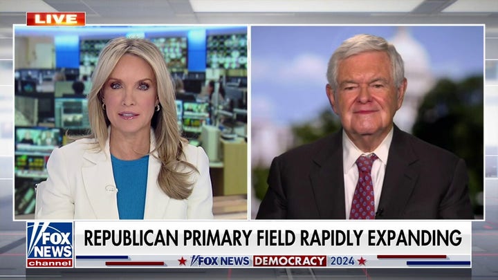 Newt Gingrich predicts Tim Scott will be a 'star' leading up to 2024 election