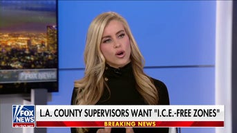 Legal strategist: ‘ICE-free zones’ violate the Constitution’s Supremacy Clause - Fox News