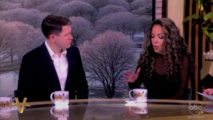 Hostin claims Crockett Texas electability questions are based on race while interviewing her Dem opponent