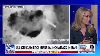 Dana Perino: Our allies have something worth fighting for