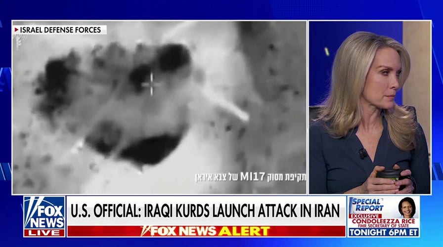 Dana Perino: Our allies have something worth fighting for