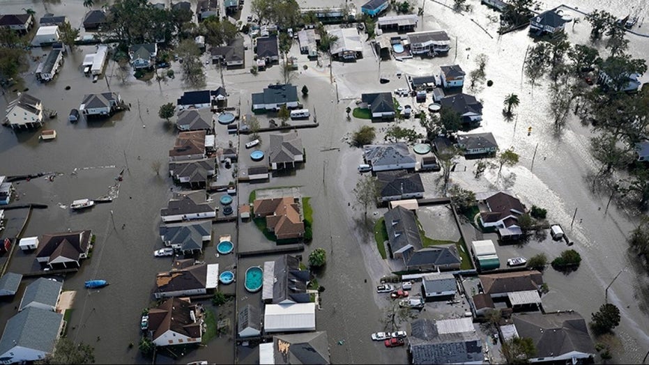 Louisiana man loses arm, likely killed in alligator attack in Ida