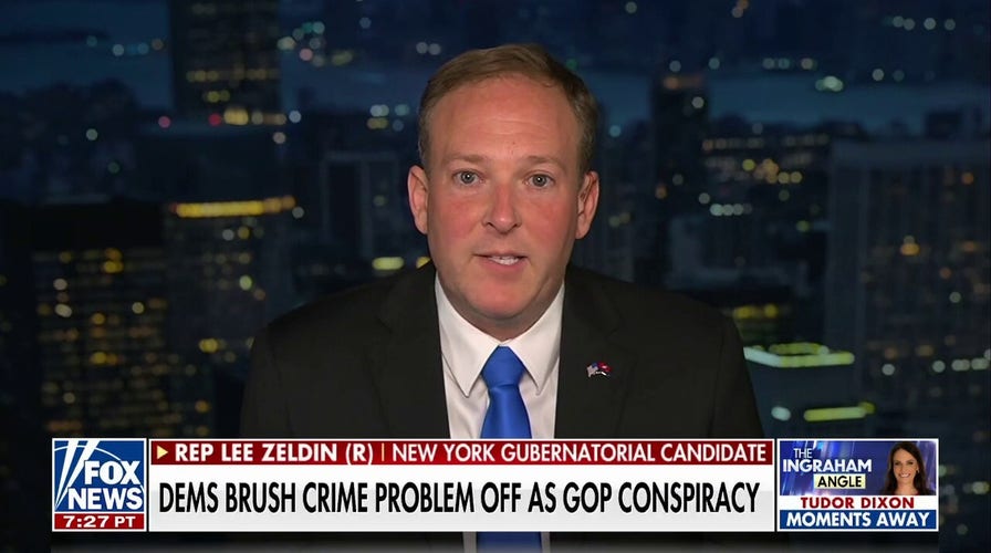 It’s really ignorant to attack Ron and I: Lee Zeldin