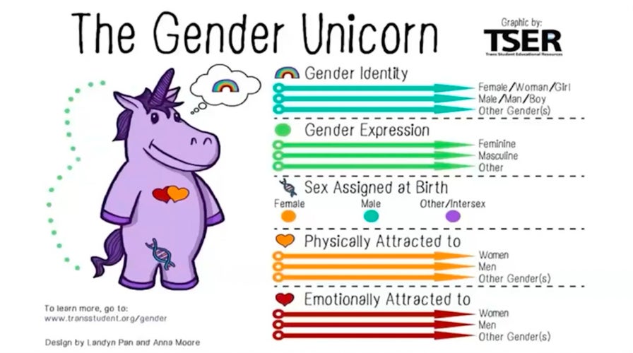 California early childhood teacher admits using gender unicorn