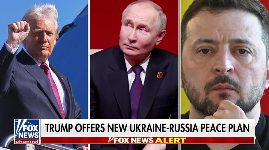 Trump offers caller   Ukraine-Russia bid    plan; Putin, Zelenskyy react