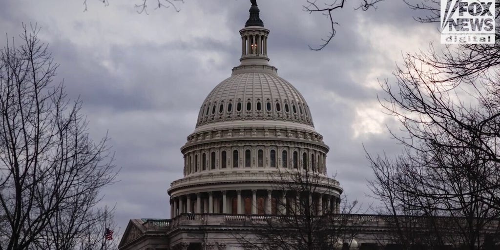 DOGE-related concerns drive some federal workers, humanitarians to seek therapy