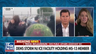  ICE facility stormed by Dems houses 'worst of the worst,' DHS official says - Fox News
