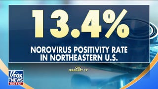 Norovirus cases continue to climb across US - Fox News