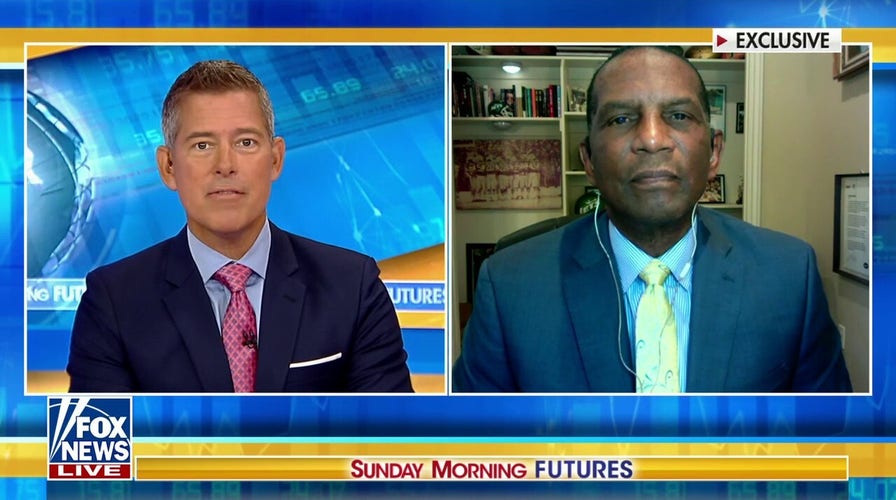 Rep. Burgess Owens rips Democrats' divisive rhetoric: 'They will destroy anyone who does not fall in line'