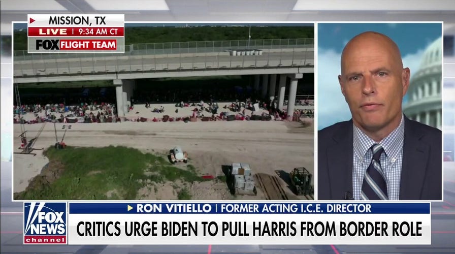 Biden admin facing pressure to replace VP Harris in border role