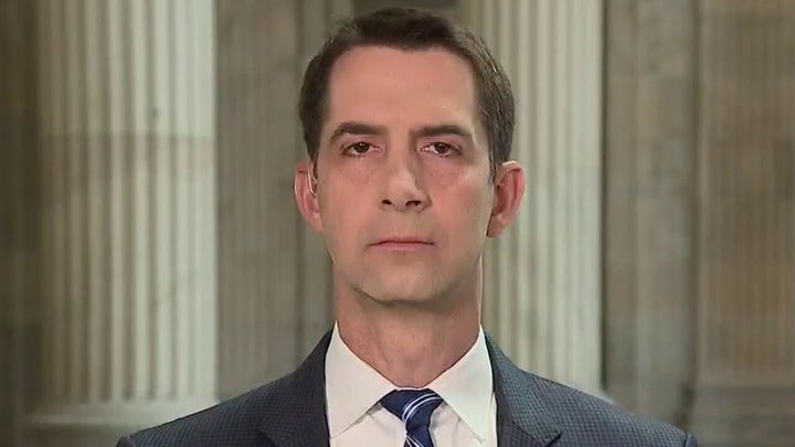 Sen. Cotton on Wuhan COVID lab leak report, US funding debate: 'Fauci is playing word games'