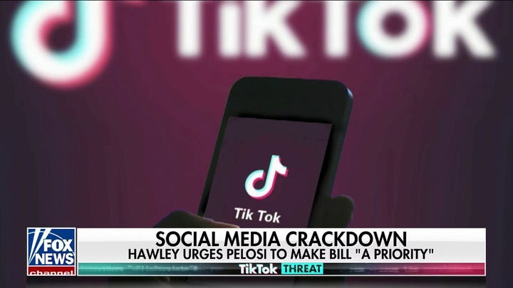 Bipartisan bills push to ban TikTok as concern over app increases
