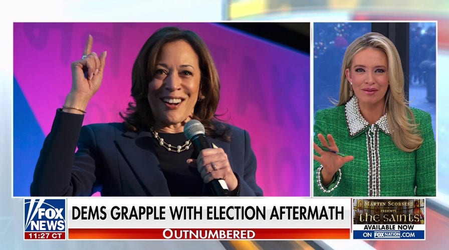Kamala Harris reportedly keeping options open after 2024 election loss