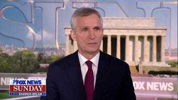 Putin is getting ‘exactly the opposite’ of what he wanted out of the war: Jens Stoltenberg