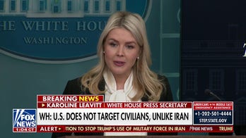 Leavitt smacks CNN for only wanting to make Trump 'look bad'