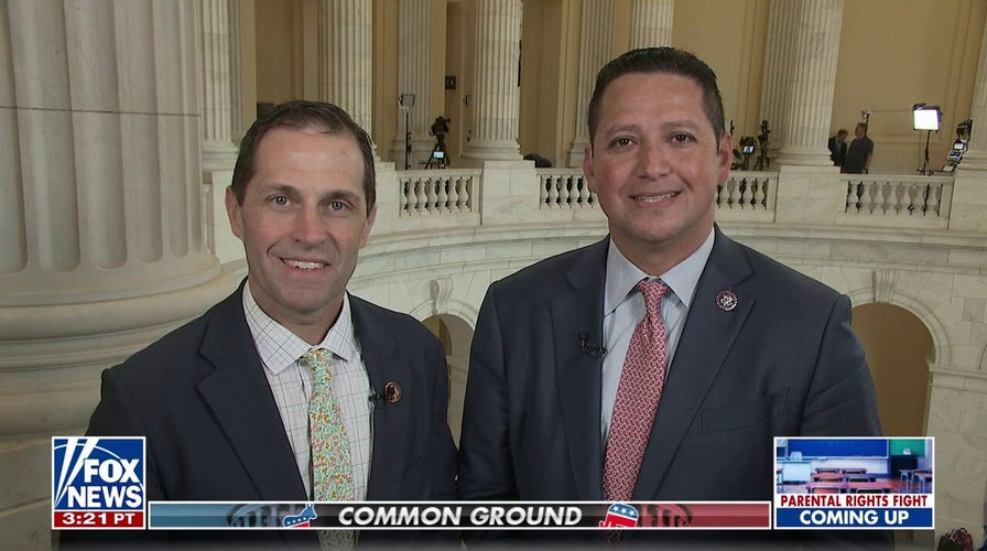 Common Ground: Military vets on bridging divides in Congress