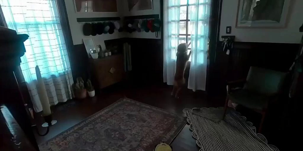 Artemis II astronaut Christina Koch reunites with dog post-splashdown